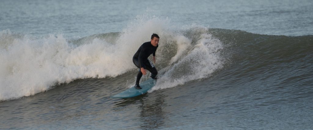 Partenariat Wildsuits