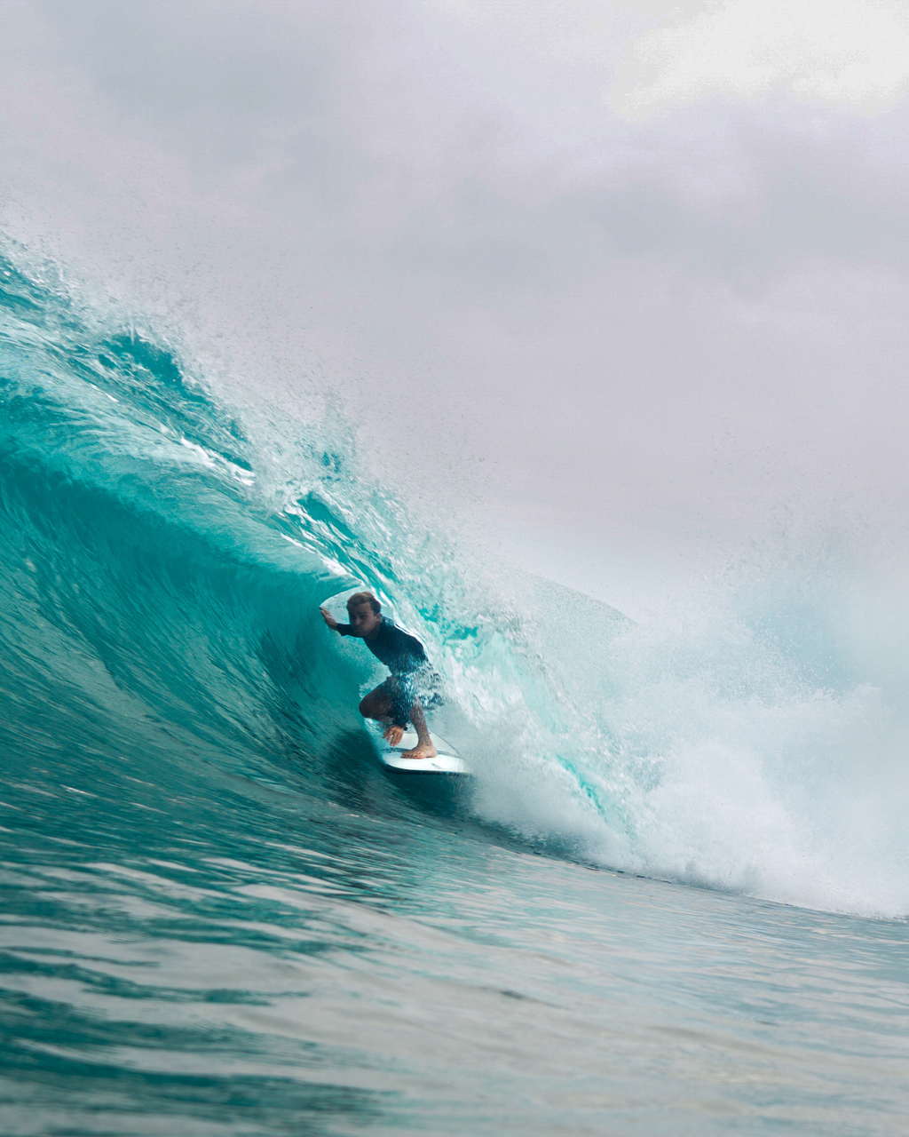Full Quiver