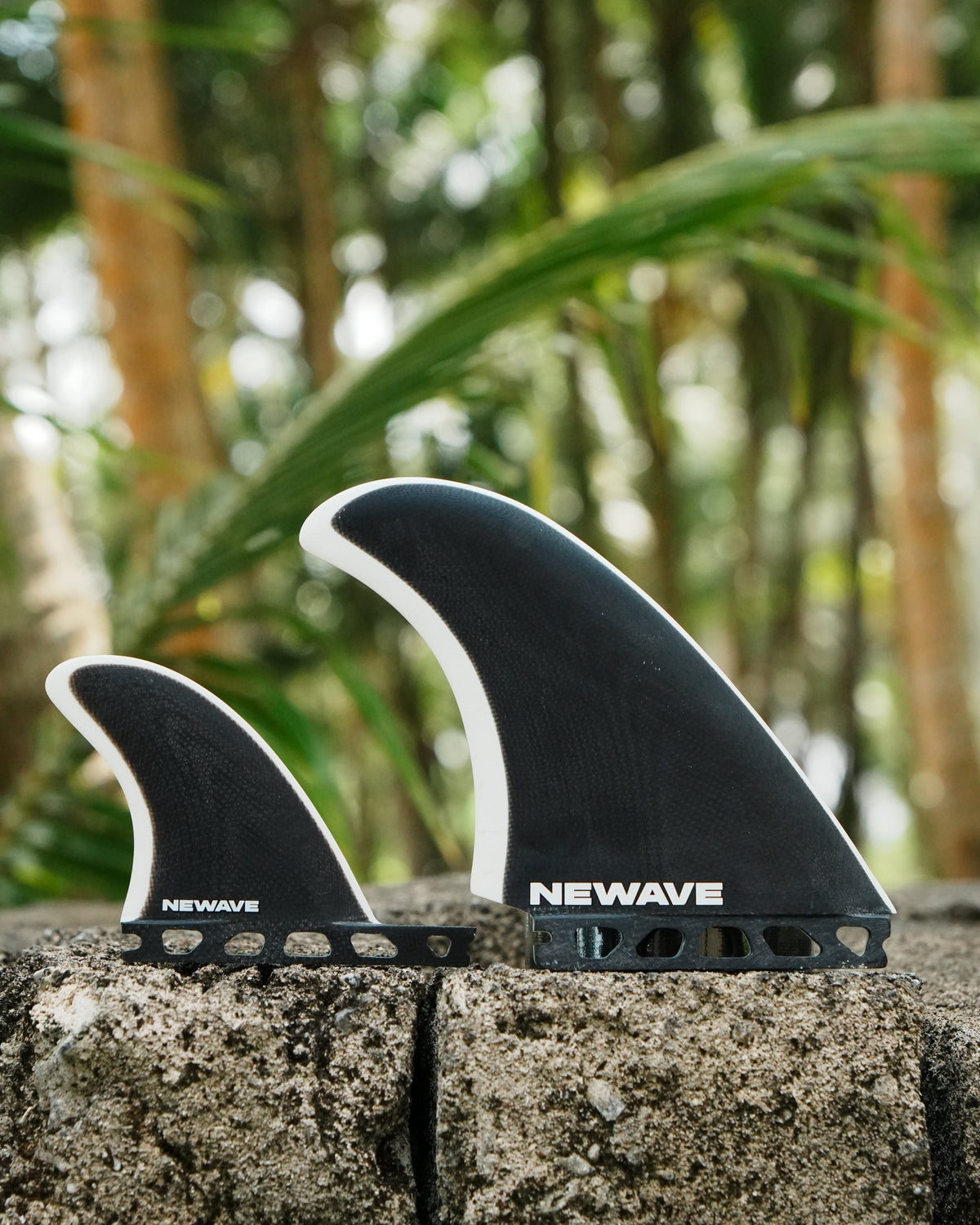 Twin +1 Fins - Noir & Blanc