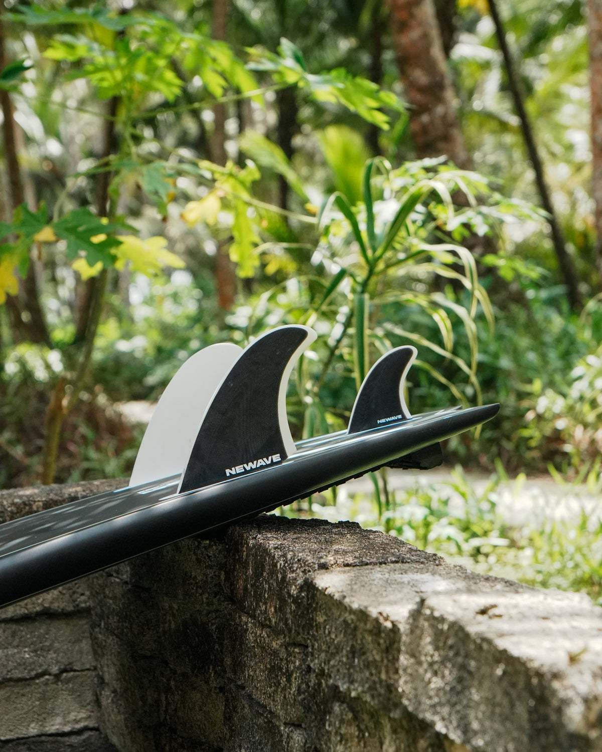 Twin +1 Fins - Noir & Blanc