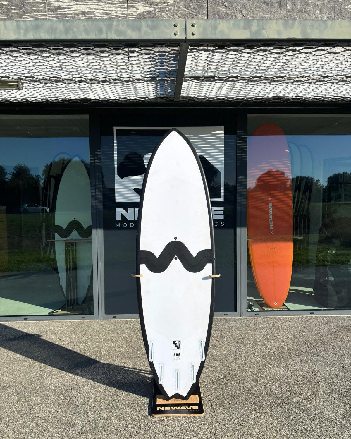 All Round Fish 6'6