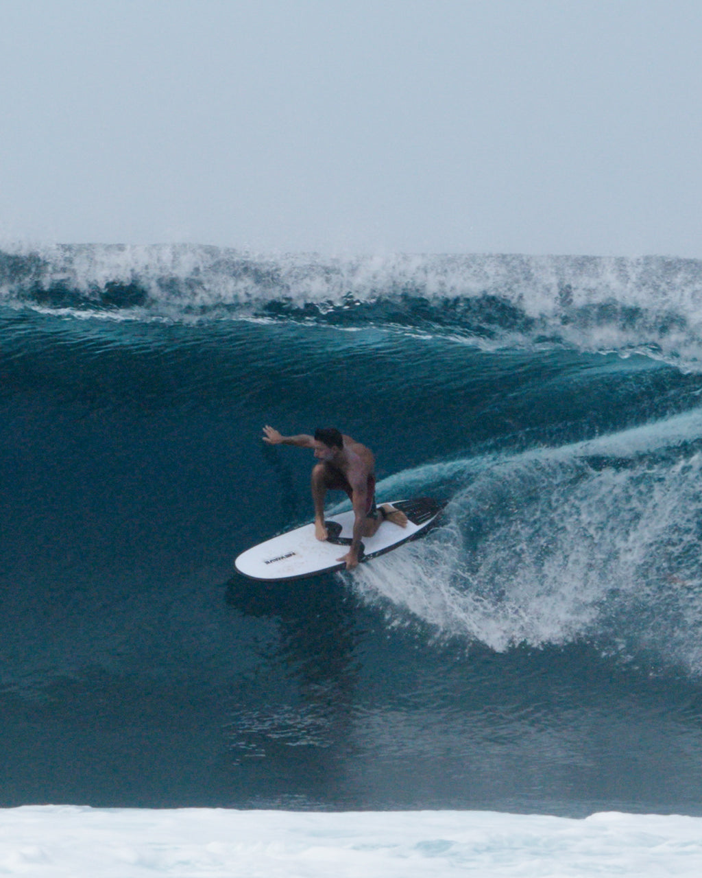 All Round Fish / Longboard + Boardbag