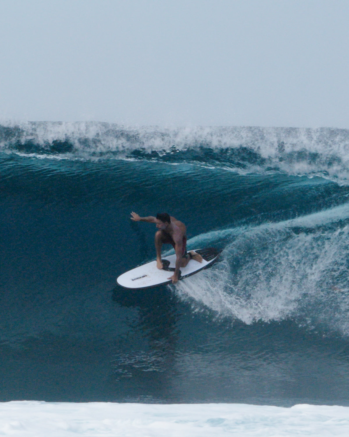 All Round Fish / Longboard + Boardbag