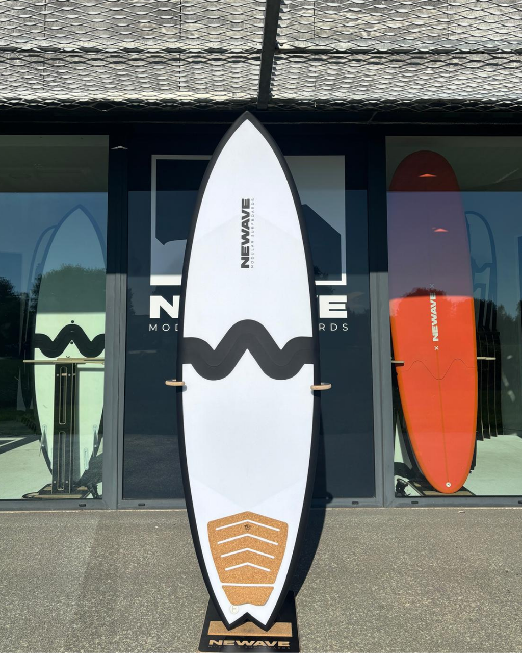 All Round Fish 6'6