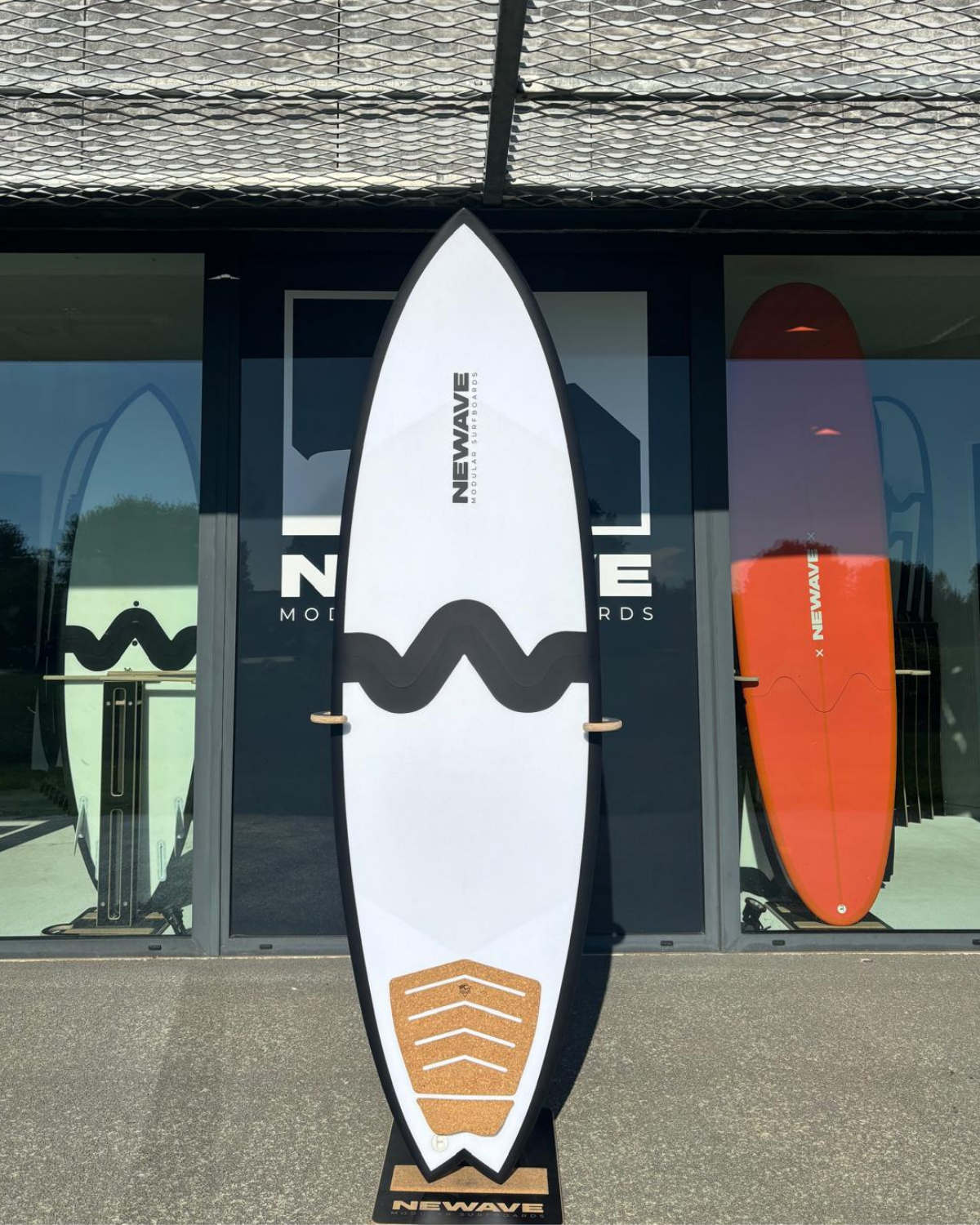 All Round Fish 6'6
