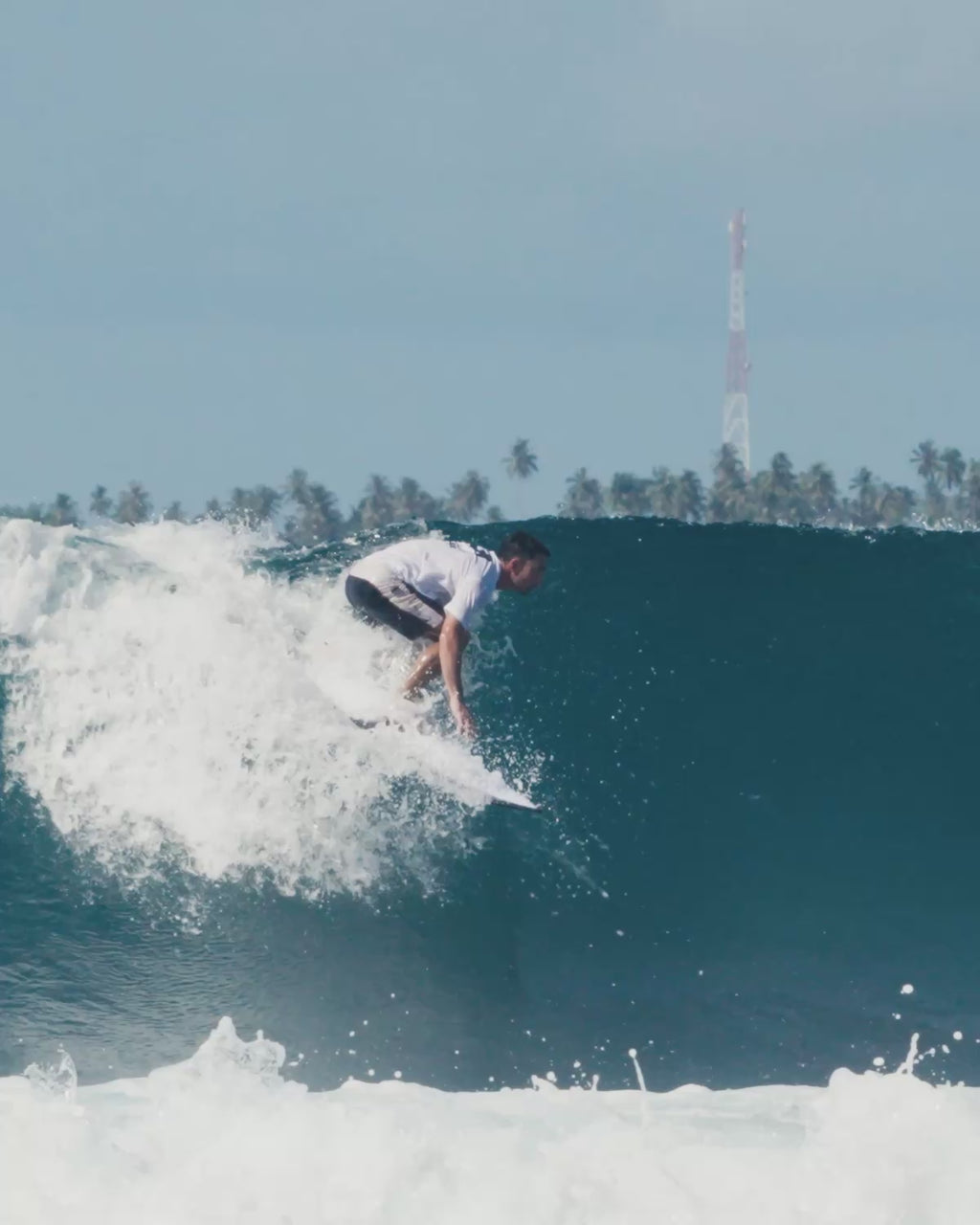 All Round Fish / Longboard + Boardbag