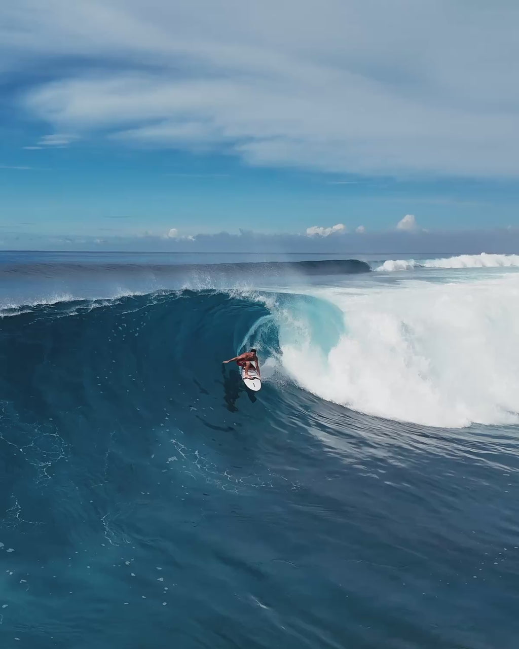All Round Fish / Mini Malibu + Boardbag