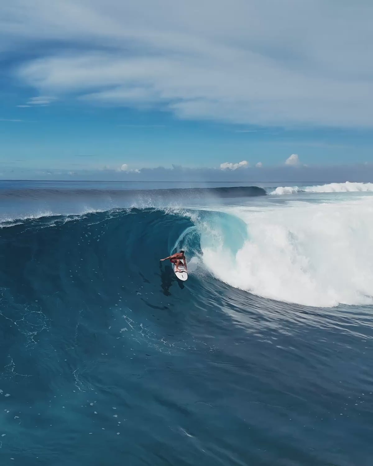 All Round Fish / Mini Malibu + Boardbag
